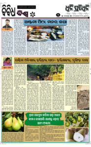 Page5