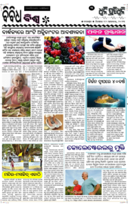 Page3