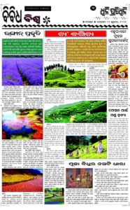 Page3