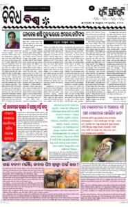 Page5