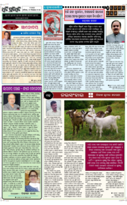 Page6
