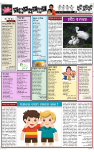 Page5