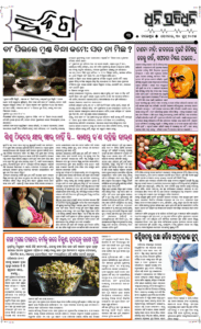 Page3