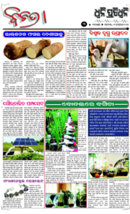 Page3