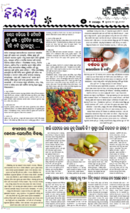 Page5