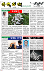 Page5