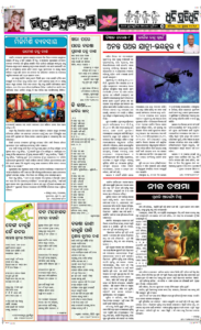 Page5
